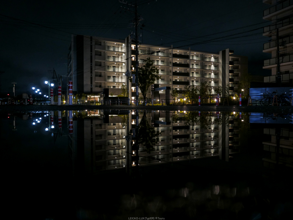 雨上がり