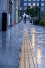雨の歩道