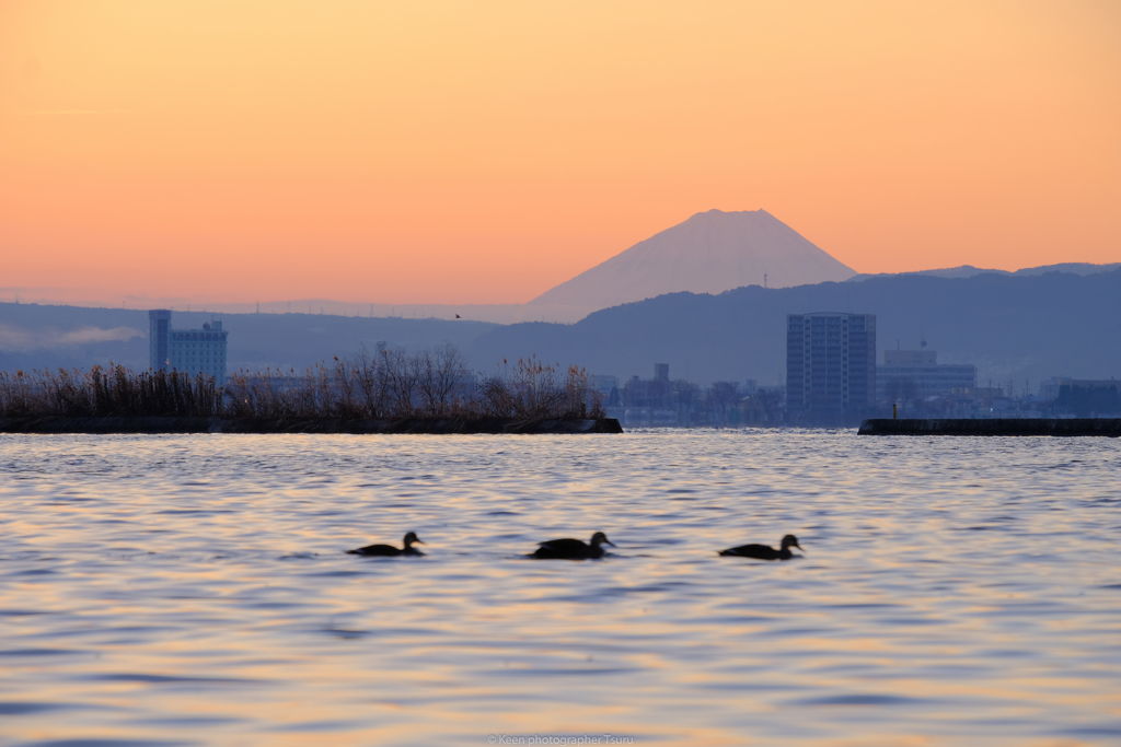 朝の景色