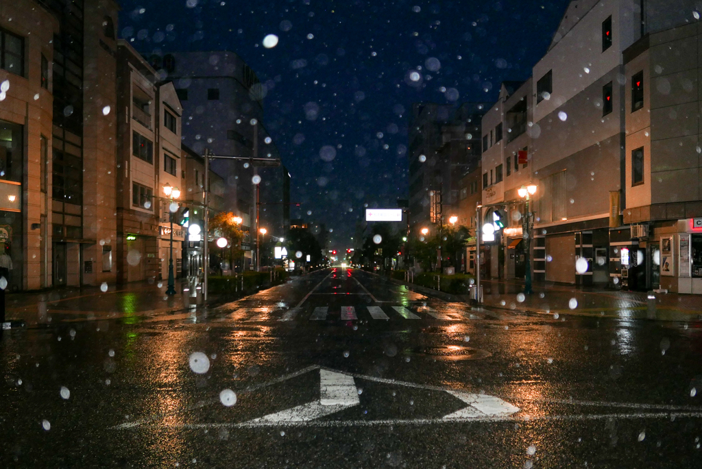 いつかの雨