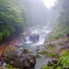 雨に煙る