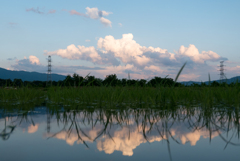 雲