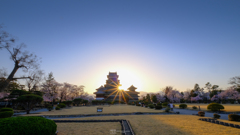 夕日の松本城