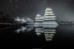 雪日も凛と