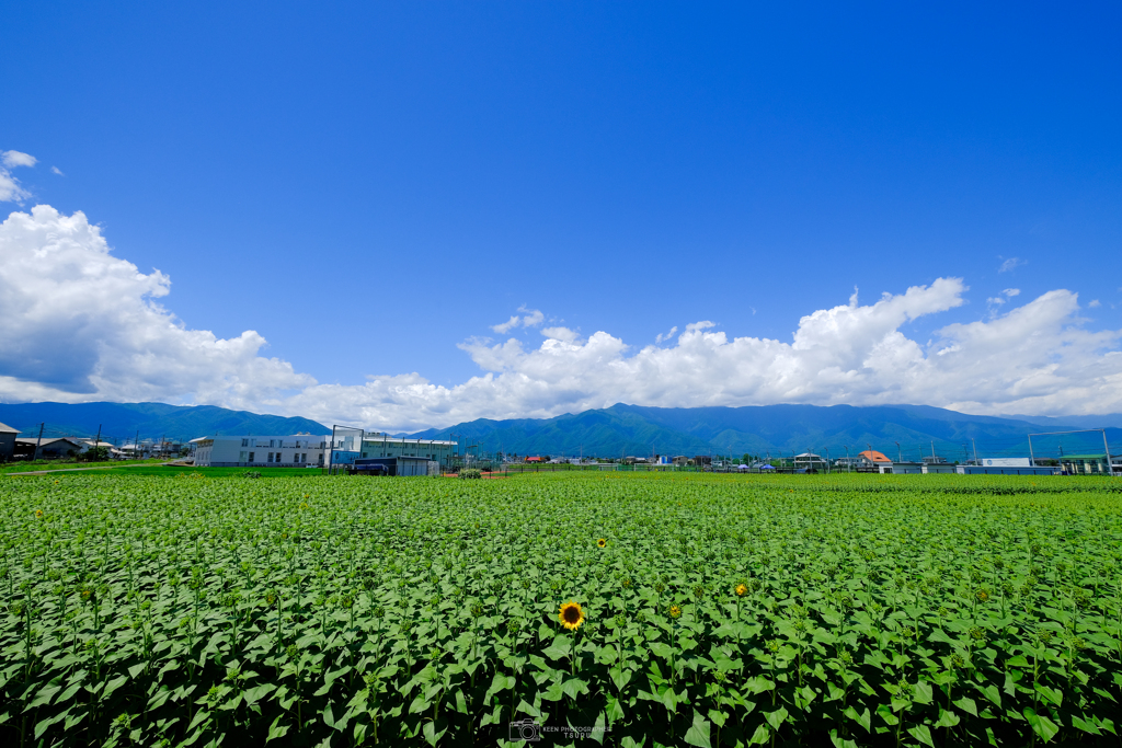 夏空