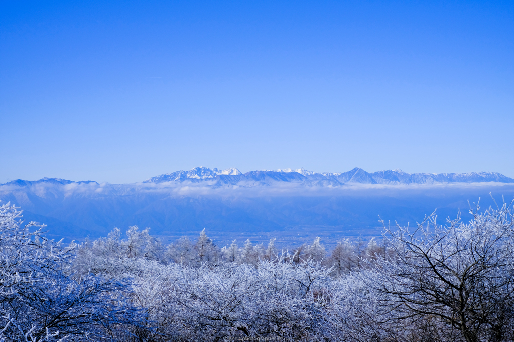 霧氷越しの山