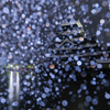 雨の日には、雨の写真を