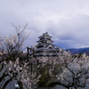 梅と城