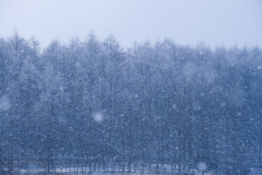 雪