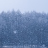 雪
