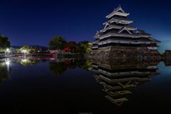 穏やかな朝