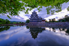 朝の緑