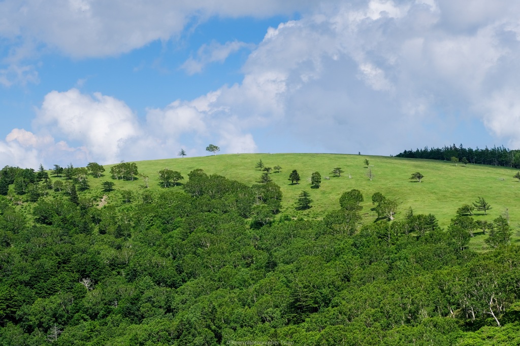 高原