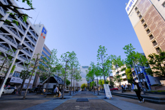 パルコの見える公園