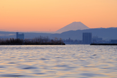 諏訪湖からの富士