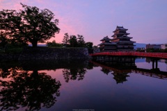 朝色