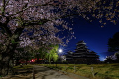 桜と城