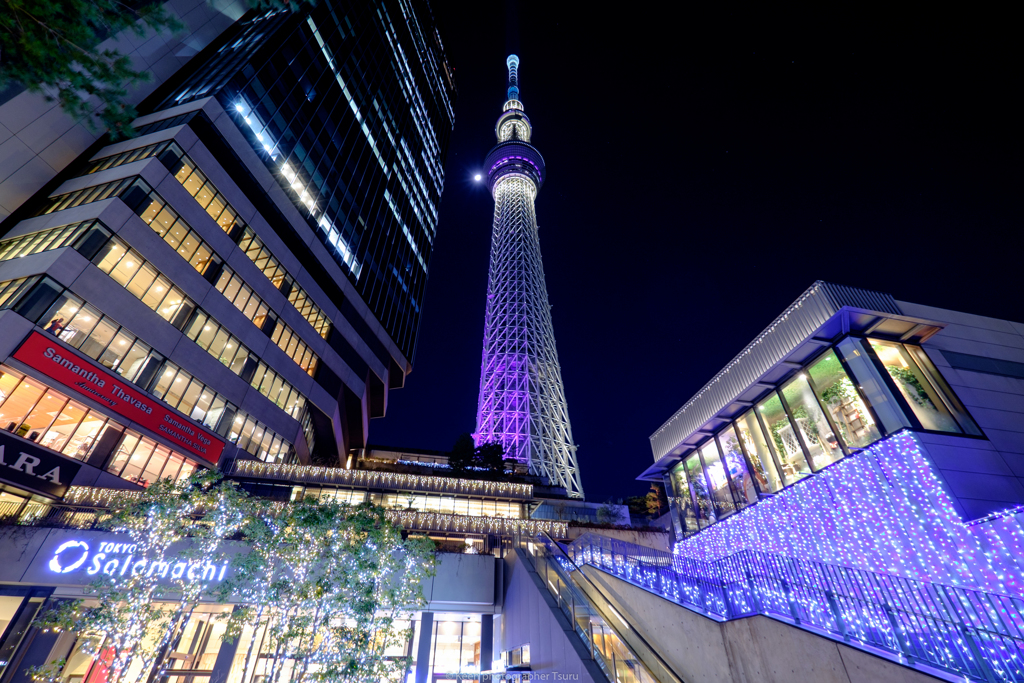 ツリーを見上げる