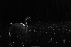 雨の日