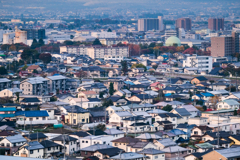 朝