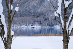冬の湖