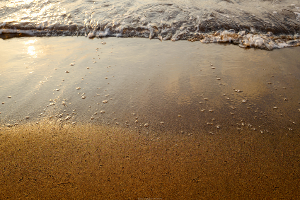 砂浜