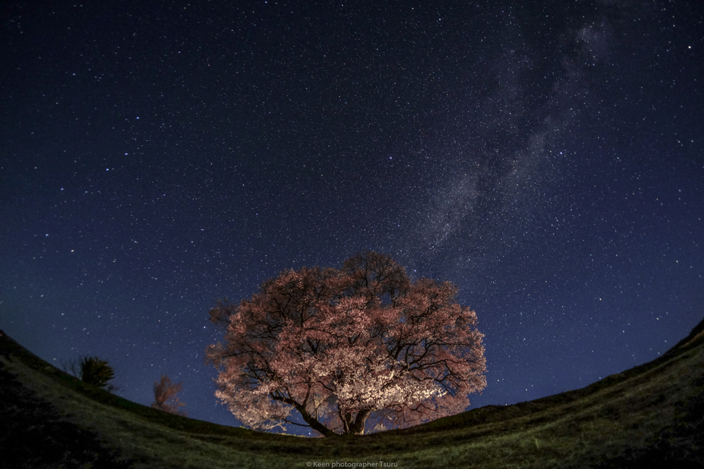 桜と宙