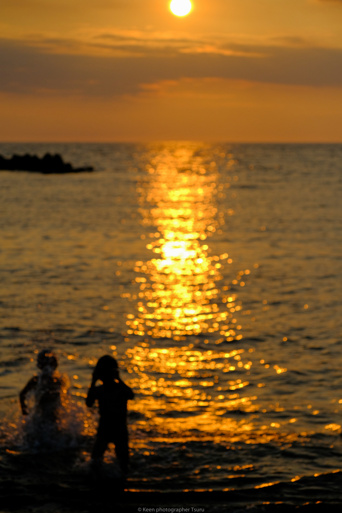 夏の光景