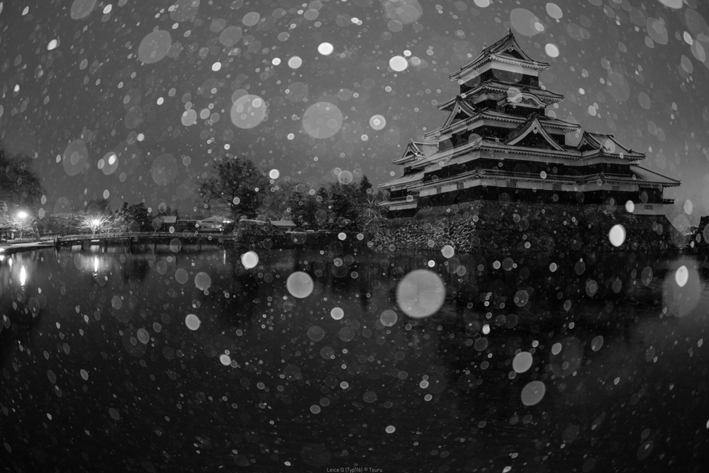 舞う雪