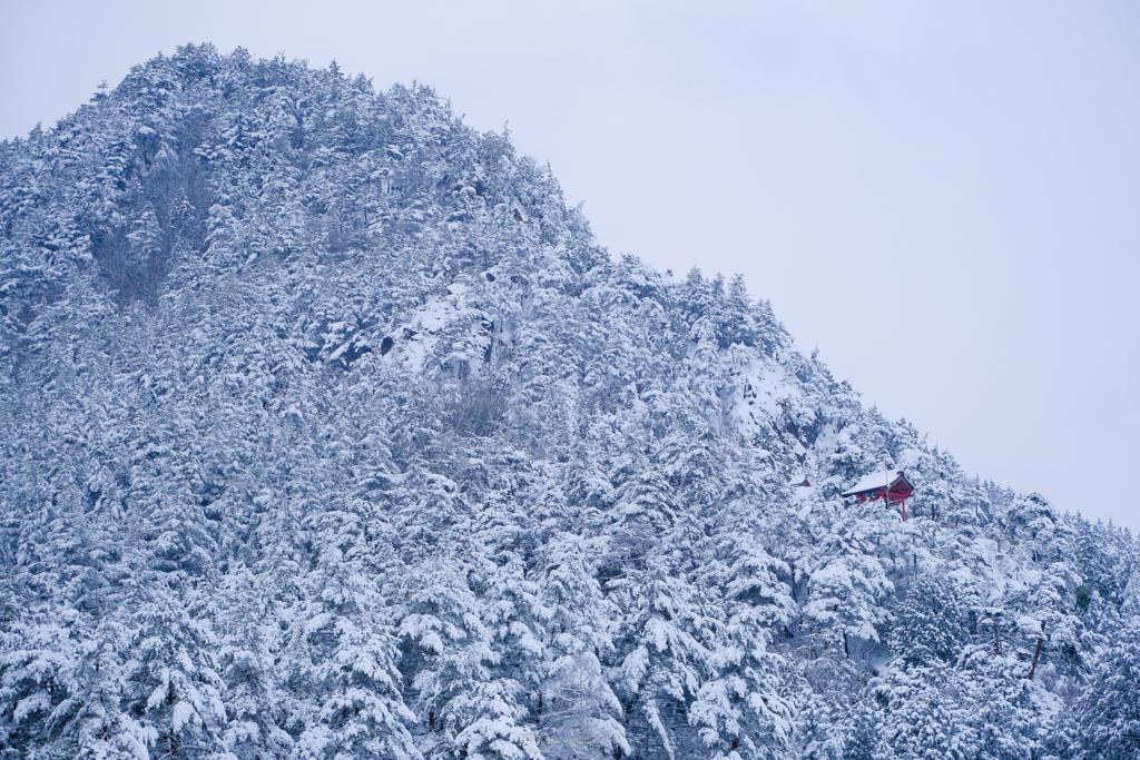 山と社殿