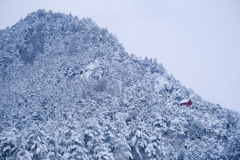 山と社殿