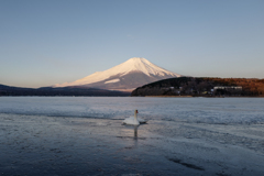 凍える湖