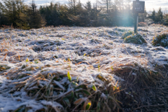 初雪が残る場所