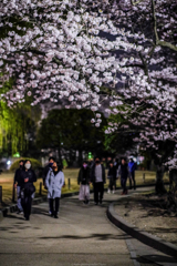 コロナ禍の花見