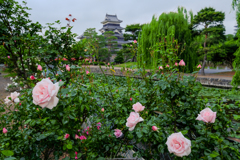 薔薇と城