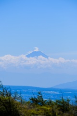 遠くの富士