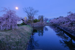 お堀の桜と月