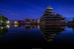 春朝の国宝松本城