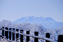 霧氷越しの山