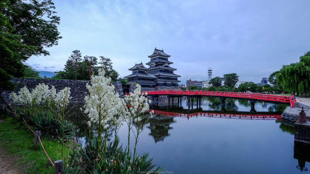花咲く城