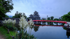 花咲く城