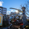蛙