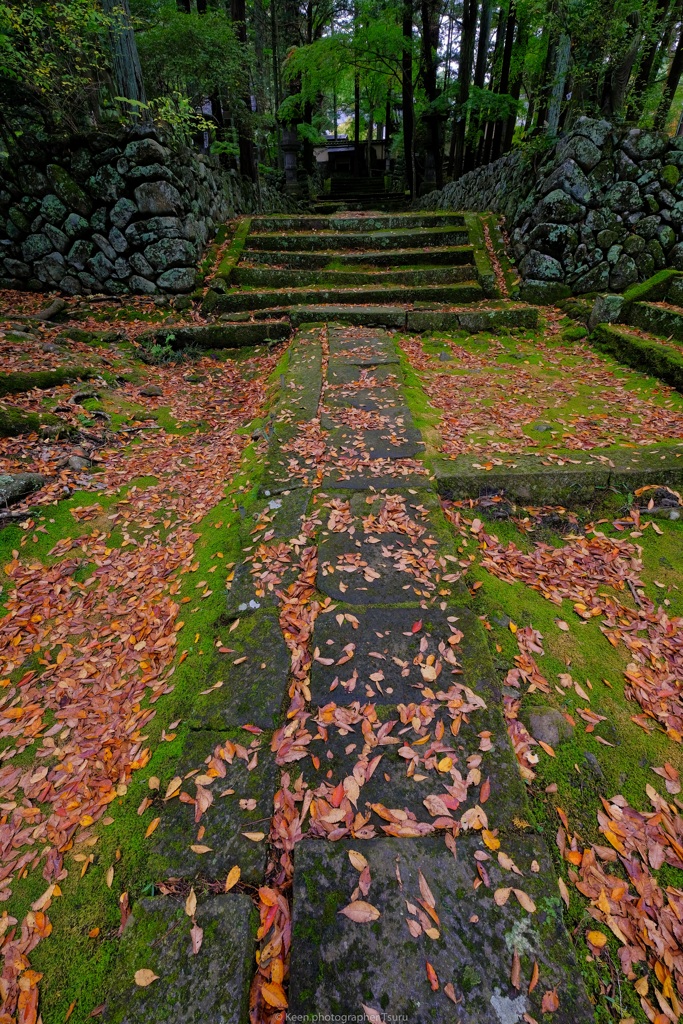参道