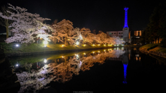 新しい光り～