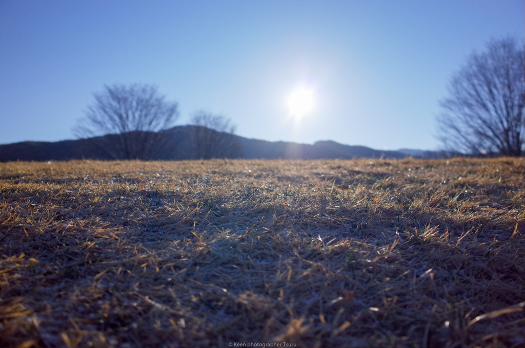 朝の公園