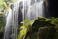 夏の思い出【苔岩越しの風景】_047