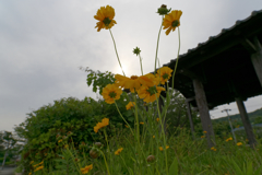 例え雲間の陽射しでも_026