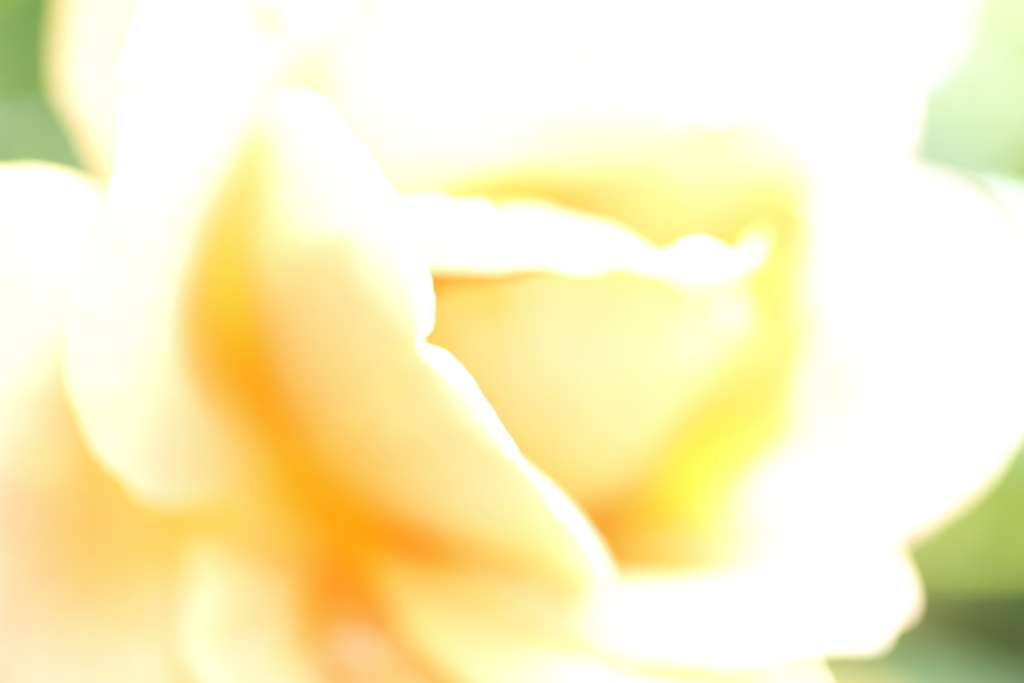 うとうと…