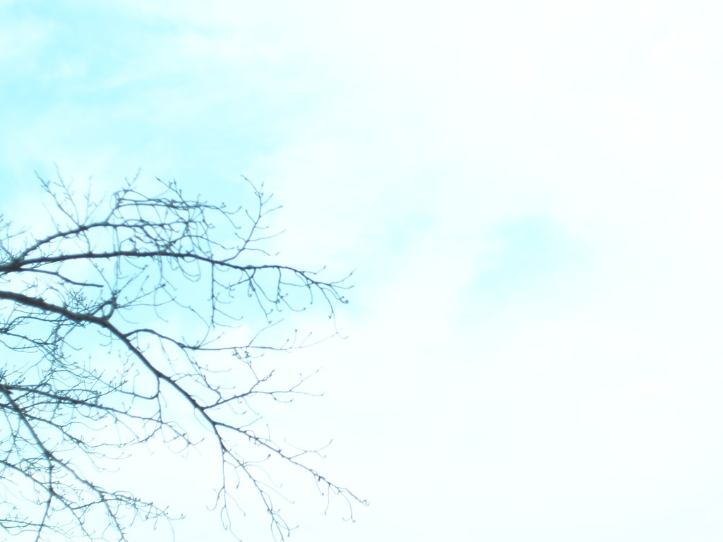 冬空。