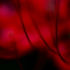 Untitled.